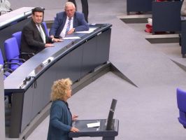 Emotionale Debatte im Bundestag zu den Arbeitsbedingungen in der Fleischbranche (2020)