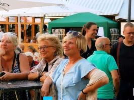 Mit Grüns auf dem Stadtfest in Münsingen (Juli 2022)