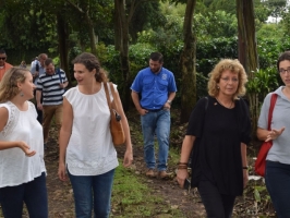 Delegationsreise Petitionsausschuss: Besuch einer Kaffeeplantage, Costa Rica (2016)
