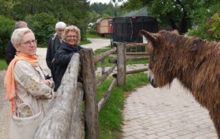 Beate Müller-Gemmeke am Zaun der Hopfenburg – sie lächelt einem der beiden Poitou-Esel entgegen, im Hintergrund Zirkuswagen und Bäume.