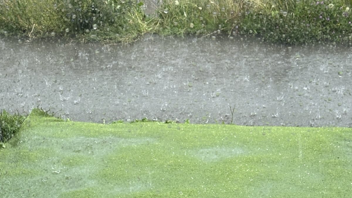 Starkregen und Hagel auf dem Gelände des Albguts – Start der Albtour von Beate Müller-Gemmeke bei typisch wechselhaftem Albwetter.