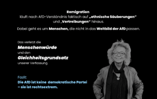Sharepic mit schwarzem Hintergrund. Text: Remigration bedeutet nach AfD-Verständnis „ethnische Säuberungen“ und „Vertreibungen“. Es gehe um Menschen, die nicht in das Weltbild der AfD passen. Das verletze Menschenwürde und Gleichheitsgrundsatz der Verfassung. Fazit: Die AfD ist keine demokratische Partei – sie ist rechtsextrem. Rechts unten ist Beate Müller-Gemmeke in Schwarz-Weiß abgebildet, lächelnd mit Brille, Lederjacke und Schal.