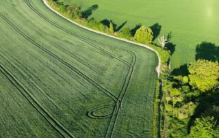 Luftaufnahme eines grünen Getreidefelds mit geschwungenen Fahrspuren. Am Rand verläuft ein schmaler Feldweg, gesäumt von Bäumen und Sträuchern. Die Szene wirkt ruhig und zeigt eine gepflegte, fruchtbare Agrarlandschaft im Sonnenschein.
