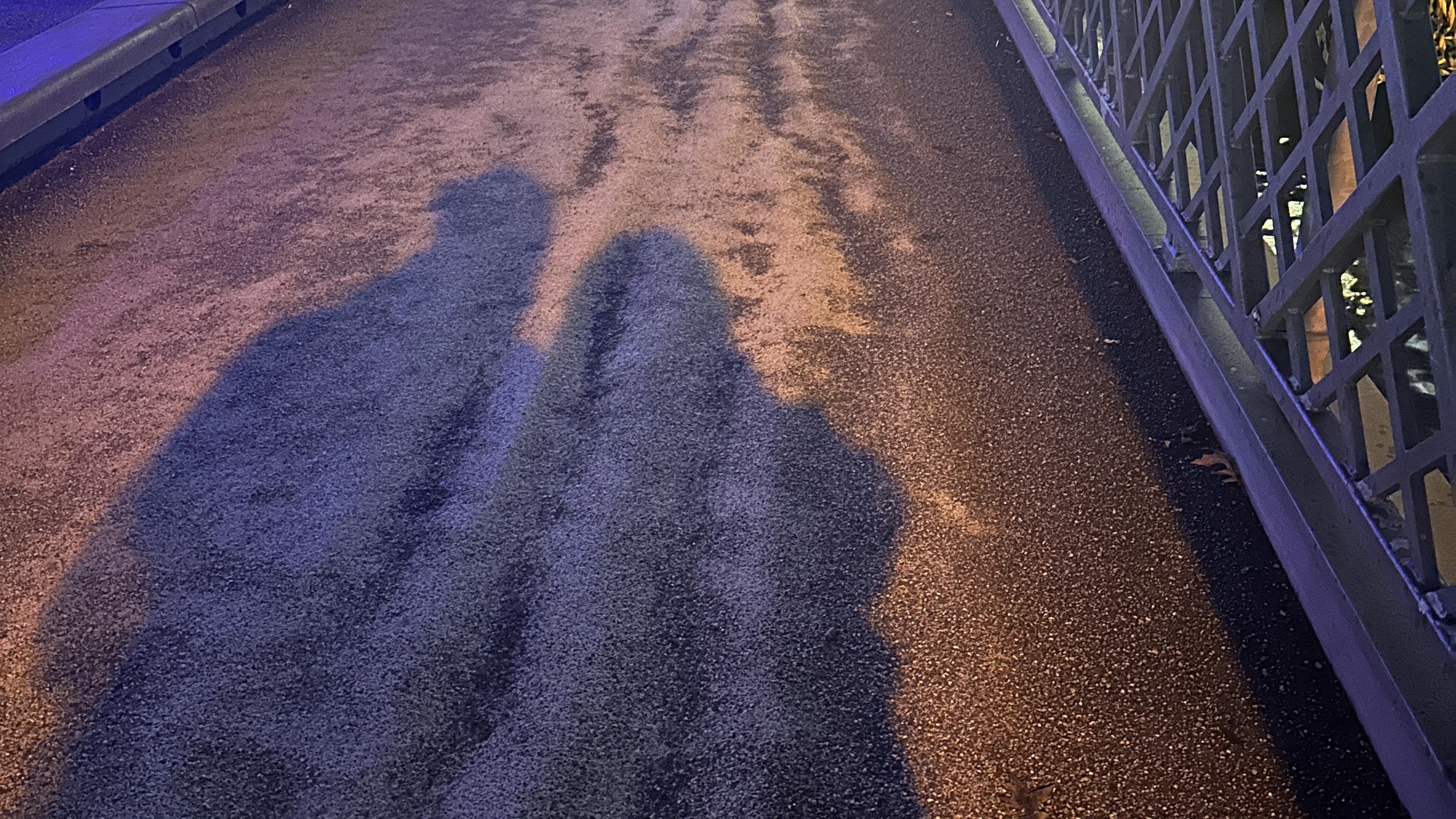 Zwei lange Schatten von Personen auf einem leicht nassen, farbig beleuchteten Boden. Die Umrisse sind deutlich, aber die Personen selbst außerhalb des Bildes.