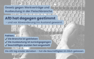 Blick von oben auf ein Paar Gummistiefel auf einem Holzsteg mit Drahtgitter. Darüber Text: „Gesetz gegen Werkverträge und Ausbeutung in der Fleischbranche – AfD hat dagegen gestimmt und vor Abwanderung ins Ausland gewarnt.“ Fakten: ✔ Die Branche ist geblieben ✔ Die Ausbeutung ist zurückgegangen ✔ Beschäftigte wurden fest angestellt Abschlusssatz: „Die AfD lag wieder daneben – hat die Beschäftigten im Stich gelassen.“