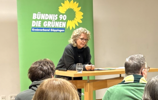 Abendveranstaltung in Göppingen: Beate Müller-Gemmeke spricht vor Publikum am Rednerpult, im Hintergrund das Banner von Bündnis 90/Die Grünen.