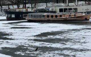 Teilweise zugefrorene Spree in Berlin. Zwei Boote liegen am Ufer, das Wasser ist von Eisflächen bedeckt. Ein dunkler Vogel steht auf dem gefrorenen Fluss.
