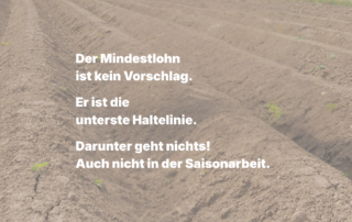 Nahaufnahme eines Spargelfelds mit sandigem Boden, keine Personen im Bild. Eingeblendeter Text: Der Mindestlohn ist kein Vorschlag. Er ist die unterste Haltelinie. Darunter geht nichts. Auch nicht in der Saisonarbeit.