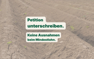 Nahaufnahme eines Spargelfelds als Hintergrund. Eingeblendeter Text: Petition unterschreiben. Keine Ausnahmen beim Mindestlohn.