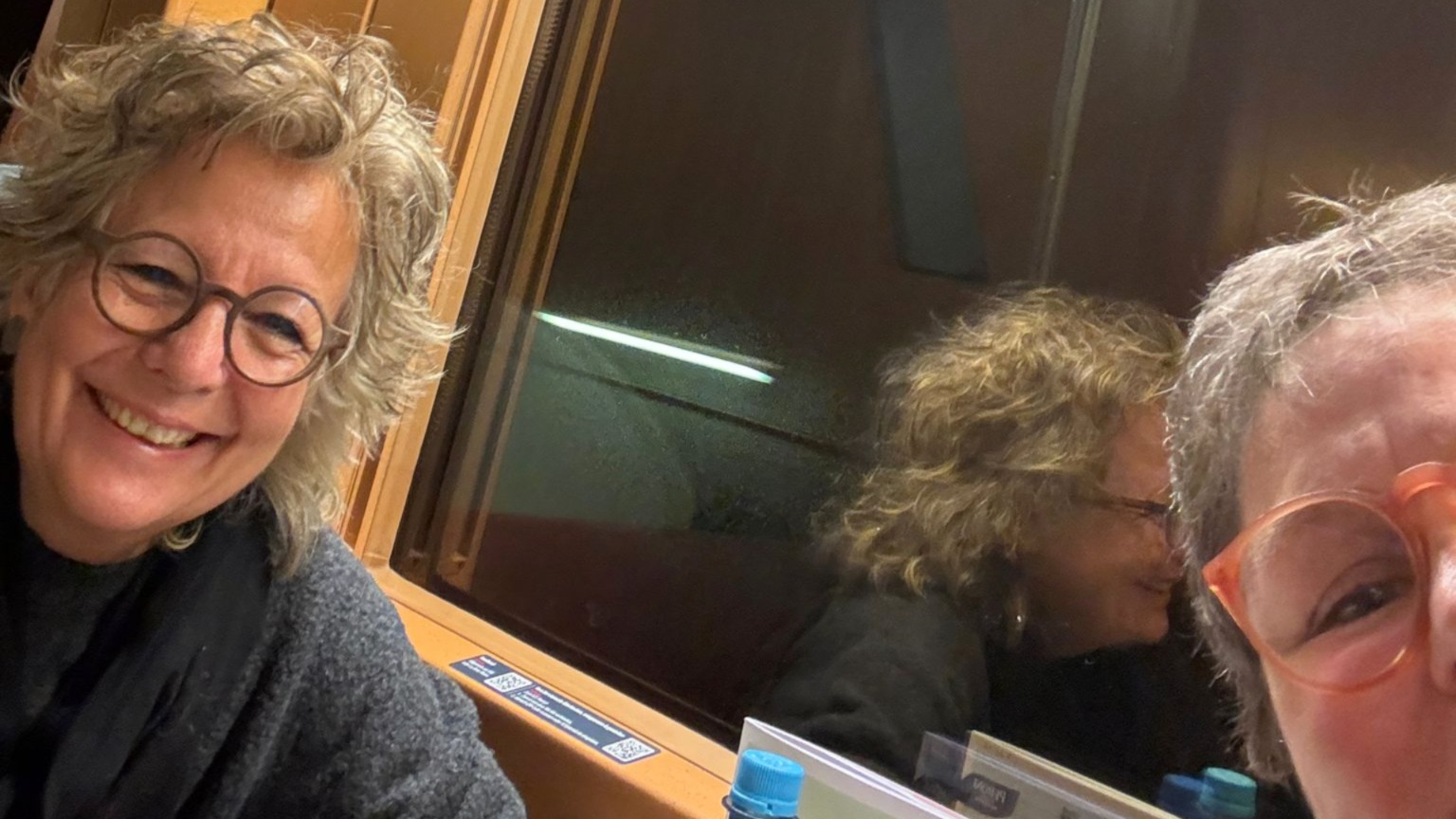 „Porträtfoto von Beate Müller-Gemmeke, lächelnd, mit Brille und kurzem, lockigem Haar. Sie trägt eine dunkle Jacke und sitzt in einem Zugabteil. Im Hintergrund sind zwei weitere Personen unscharf zu erkennen, sowie ein Fenster mit Ausschnitt auf eine Landschaft.“